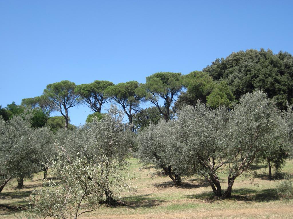 Tenuta Olmatello Quartolo Extérieur photo