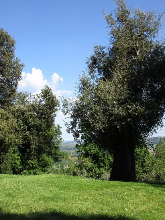 Tenuta Olmatello Quartolo Extérieur photo